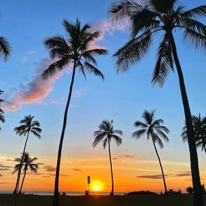 Meet your Posher, Nanette